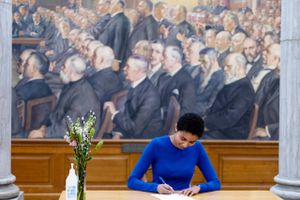 I ligestillingens navn vil et stort politisk flertal have lavet en optælling af, hvor mange malerier af mænd og kvinder der hænger til offentligt skue i Folketinget.
