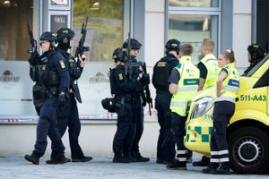 På grund af hans sygdomshistorik blev 22-årig formodet gerningsmand afvist i specialiseret behandlingstilbud.