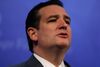 Ted Cruz.