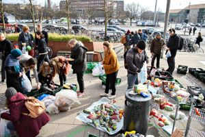 Danmark indfører  en national madspildsdag. Foto: Anita Graversen