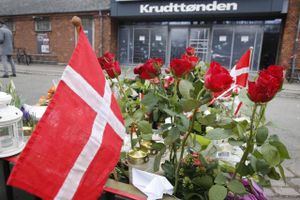 Den svenske journalist Niklas Orrenius har skrevet en grundig og vigtig bog om skuddene i København.