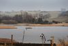 Regeringens udspil til en landbrugsreform ventes at indeholde forslag til at sikre bedre vandmiljø og sænke kvælstofudledningerne fra landbruget. Arkivfoto: Jan Grarup/Ritzau Scanpix