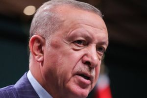 Vi følger konvention om ikke at blande os i værtslandets interne anliggender, tweeter ti ambassader i Tyrkiet.